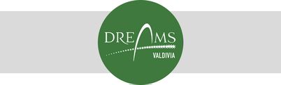 Dreams Valdivia